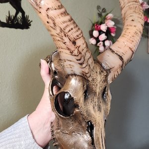 Metalized Nyala Skull Taxidermy