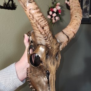 Metalized Nyala Skull Taxidermy