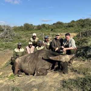 Buffalo Hunt Eastern Cape South Africa