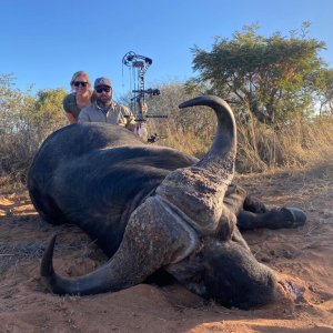 Bow Hunt Cape Buffalo South Africa