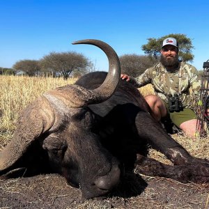 Bow Hunt Cape Buffalo South Africa