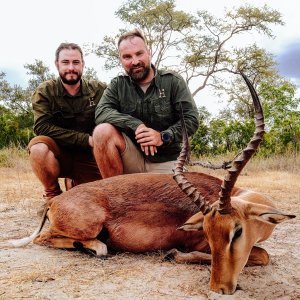 Hunting Impala Zimbabwe