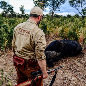 Hunting Buffalo Zimbabwe