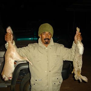 Hunting Springhare and Hare in Namibia