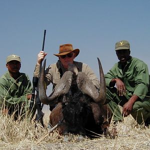 Hunting Black Wildebeest in Namibia