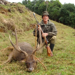 Hunting Rusa Deer Mauritius
