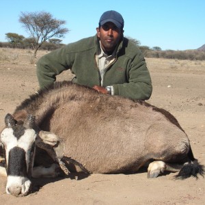 Hunting Blue Wildebeest in Namibia