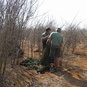 My Leopard Hunt with Motsomi Safaris in South Africa