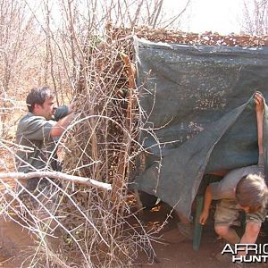 My Leopard Hunt with Motsomi Safaris in South Africa