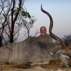 Greater kudu 57" plus