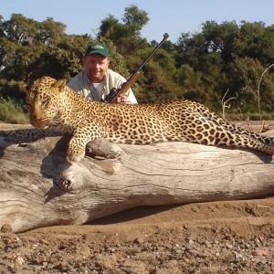 Zim leopard
