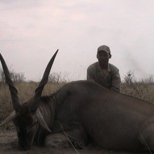 Botswana eland