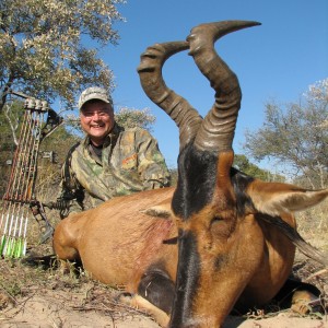 Bow Hunting Hartebeest 2006 RSA Limpopo trip