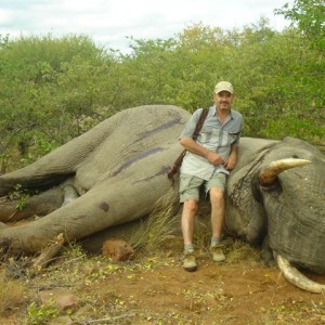 Elephant hunt in South Africa