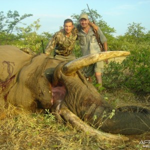 Elephant hunt in South Africa