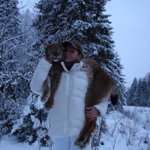Lynx Hunt in Romania