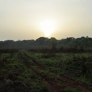 Hunting in CAR