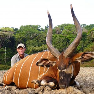 Bongo hunted in CAR