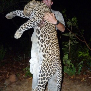 Leopard hunted in CAR