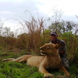 Lion hunted in CAR