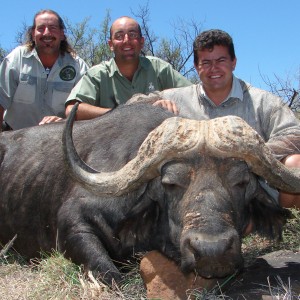 Hunting Buffalo at Wintershoek Johnny Vivier Safaris in South Africa