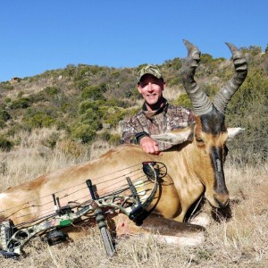 Bowhunting Red Hartebeest with Wintershoek Johnny Vivier Safaris in South A