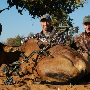 Bowhunting Red Hartebeest with Wintershoek Johnny Vivier Safaris in South A