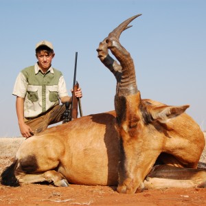 Hunting Red Hartebeest with Wintershoek Johnny Vivier Safaris in SA