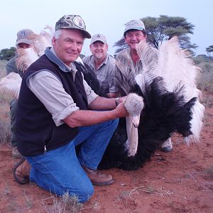 Hunting Ostrich with Wintershoek Johnny Vivier Safaris in SA