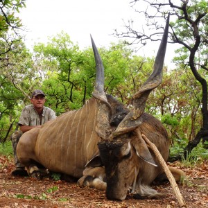 52 inch Lord Derby Eland Bull CAR