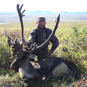 Caribou 2005 Alaska