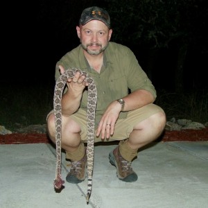 Rattle Snake 2010 Texas