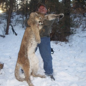 colorado mountain lion hunt by manny fajin