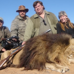 Hunting Lion