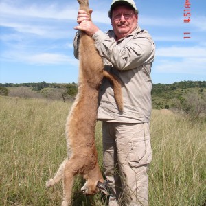 My Caracal shot in the cape