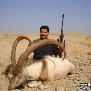 Hunting Sindh Ibex taken in Sindh-Pakistan