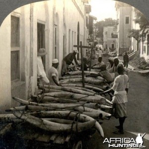 Ivory on a side street of Mombasa ready to ship to America