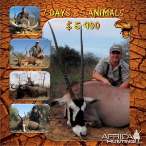 7 Days - 5 Animals
