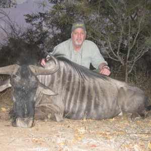 My wildebeest taken with Touch Africa in June 2011