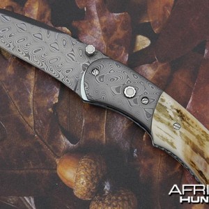 Button lock folding knife with warthog tusk handle