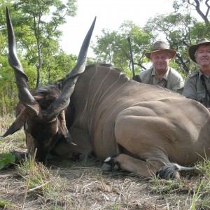 Very old Lord Derby eland hunted in CAR with Rudy Lubin Safaris