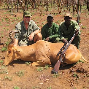 Hartebeest hunted in CAR with Central African Wildlife Adventures