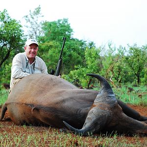 Buffalo hunted in Central African Republic with CAWA