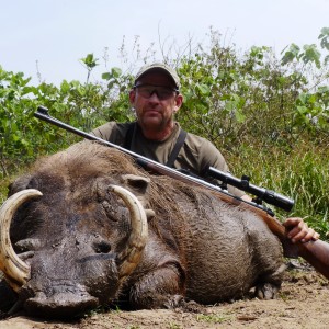 Warthog hunted in CAR with Central African Wildlife Adventures