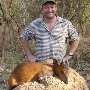 Red Flanked Duiker hunted in CAR with CAWA