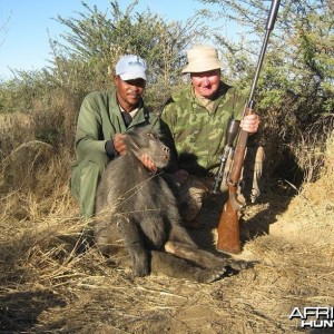 Baboon Namibia