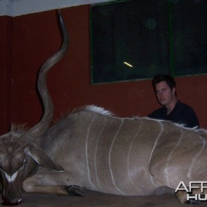 Kudu Limpopo South Africa