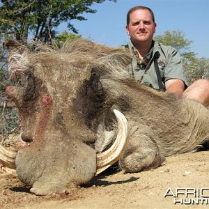 Warthog Hunt in Save Valley Conservancy Zimbabwe