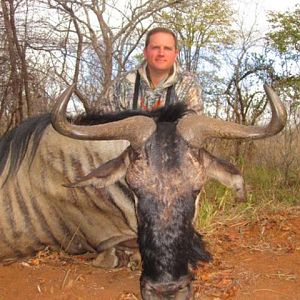 Blue Wildebeest Hunt in Save Valley Conservancy Zimbabwe