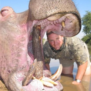 Hippo Hunt in Save Valley Conservancy Zimbabwe